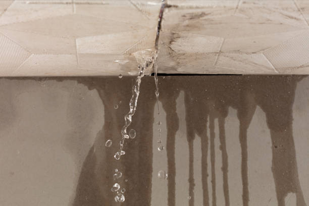 Professional Sewage Cleanup technician working in Urbana, IL